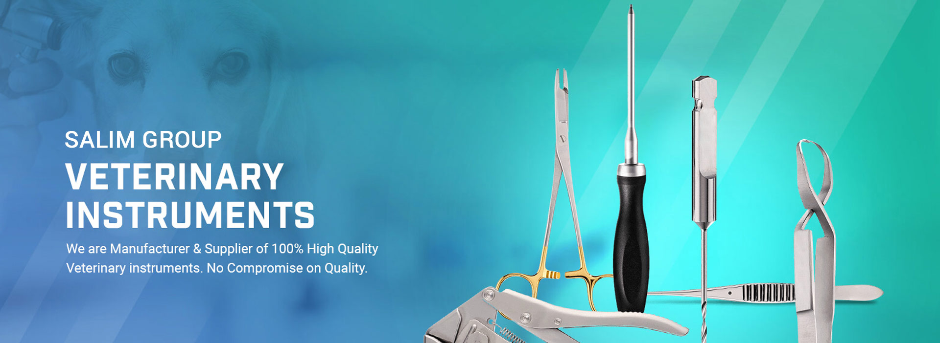 Veterinary Instruments